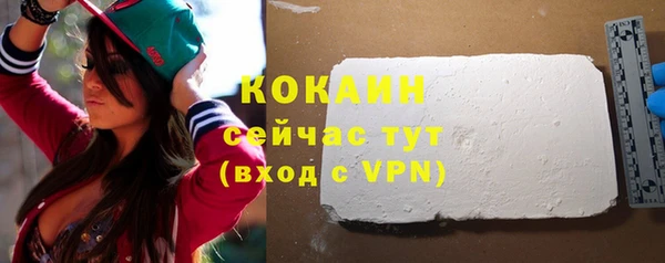 МДПВ Нефтегорск