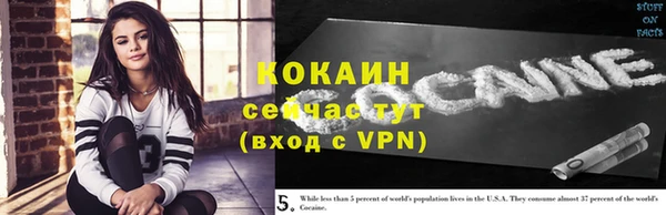 дживик Заречный