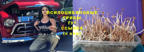 стаф Нея