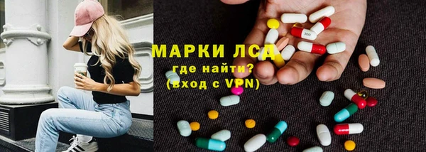 стаф Нея