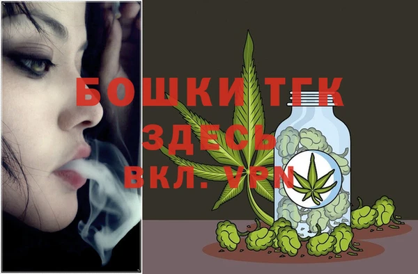 стаф Нея