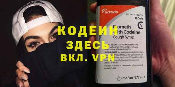 стаф Нея
