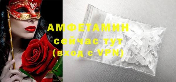 стаф Нея