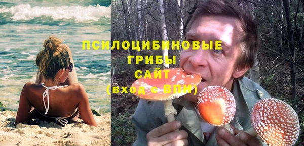 стаф Нея