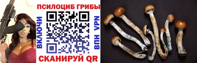 Псилоцибиновые грибы ЛСД Киров