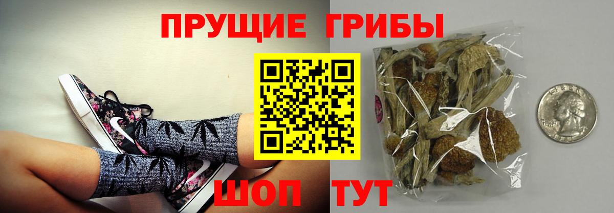 Киров  Галлюциногенные грибы MAGIC MUSHROOMS  Вход с VPN  Галлюциногенные грибы ЛСД 